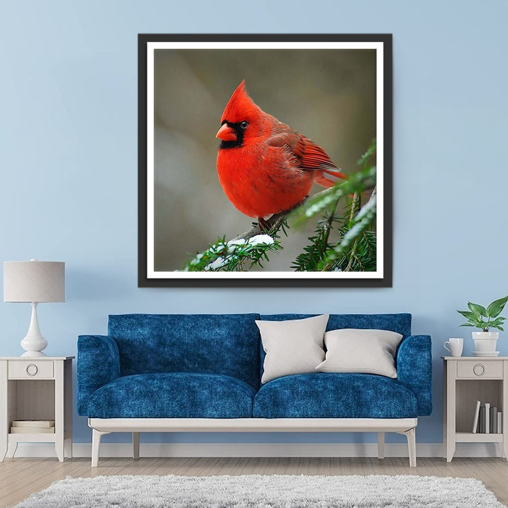 Een Kardinaal op een Pijnboom Diamond Painting