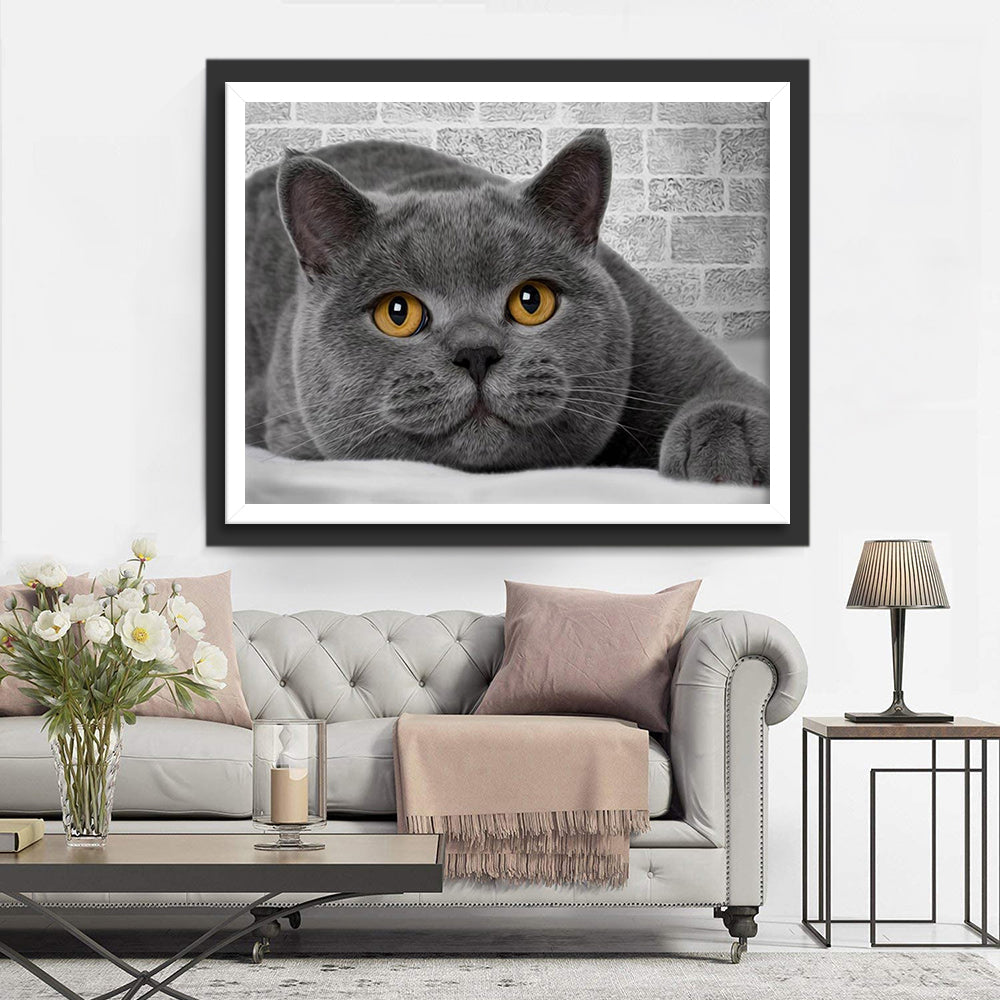 Een Kat die op de Grond ligt Diamond Painting