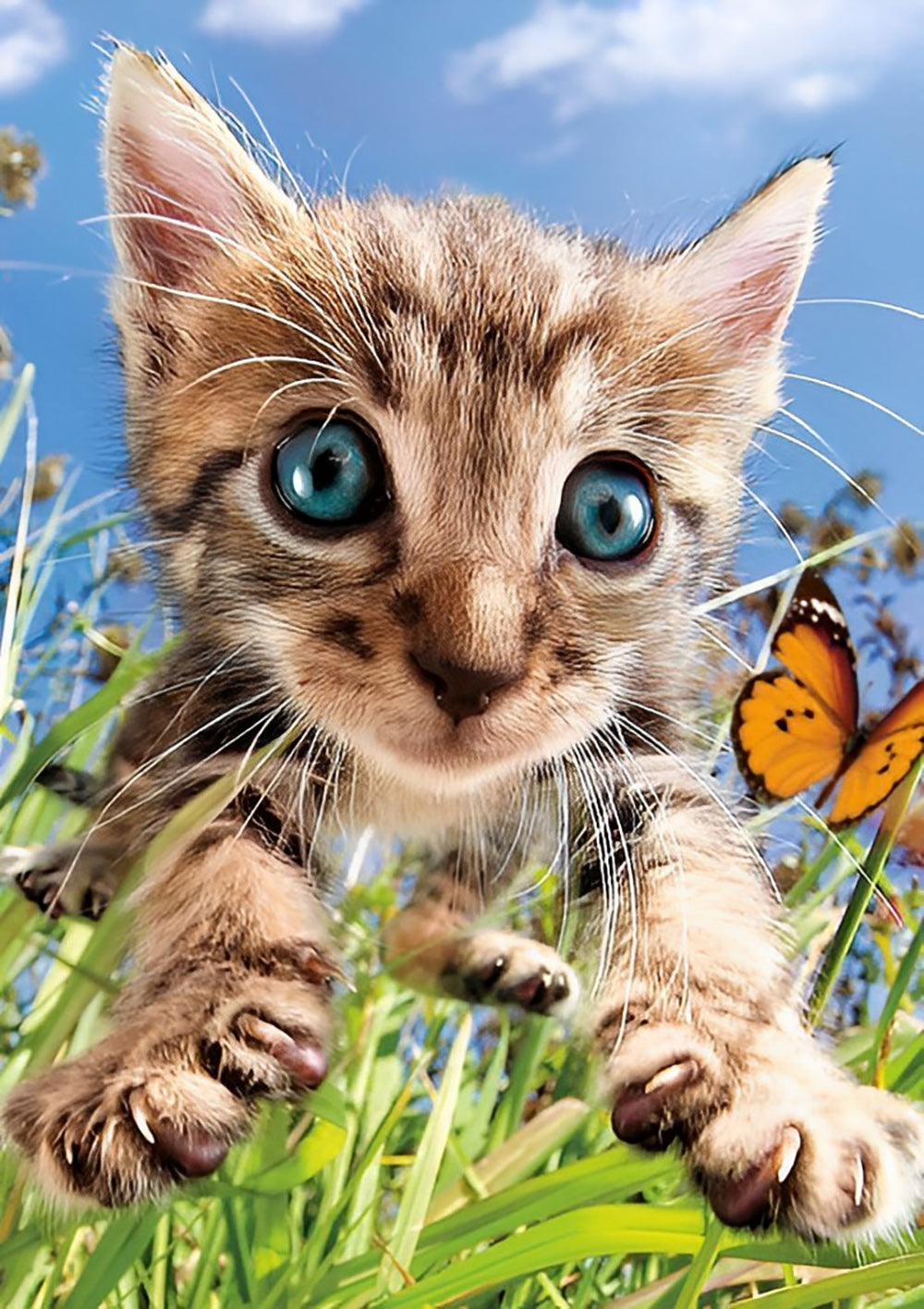 Een Kat die op een Vlinder in het Gras Springt Diamond Painting