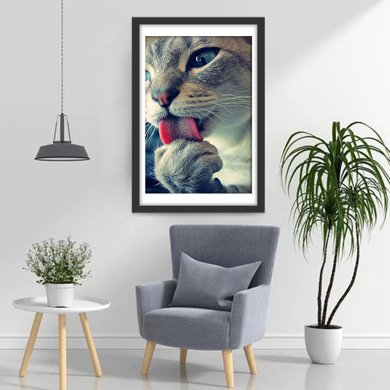 Een Kat Likt zijn Poten Diamond Painting