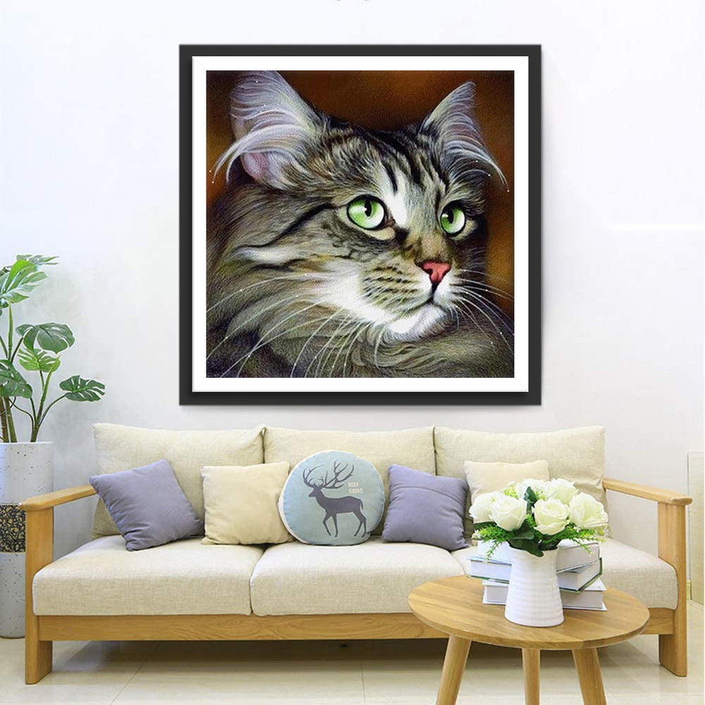 Een Kat met Groene Ogen Diamond Painting
