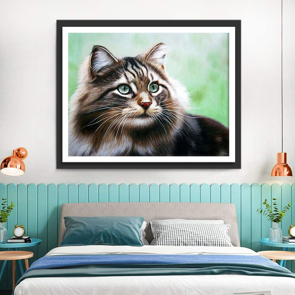 Een Kat met Groene Ogen Diamond Painting
