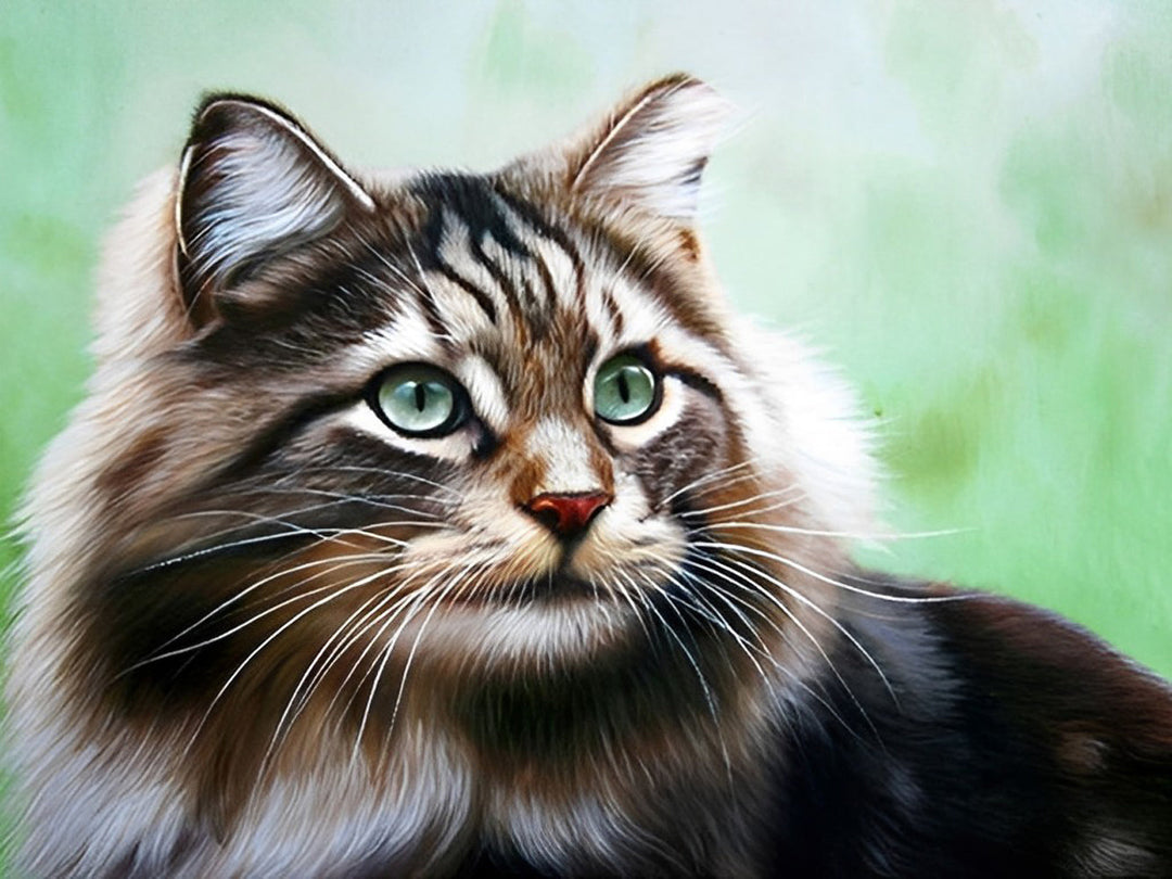 Een Kat met Groene Ogen Diamond Painting