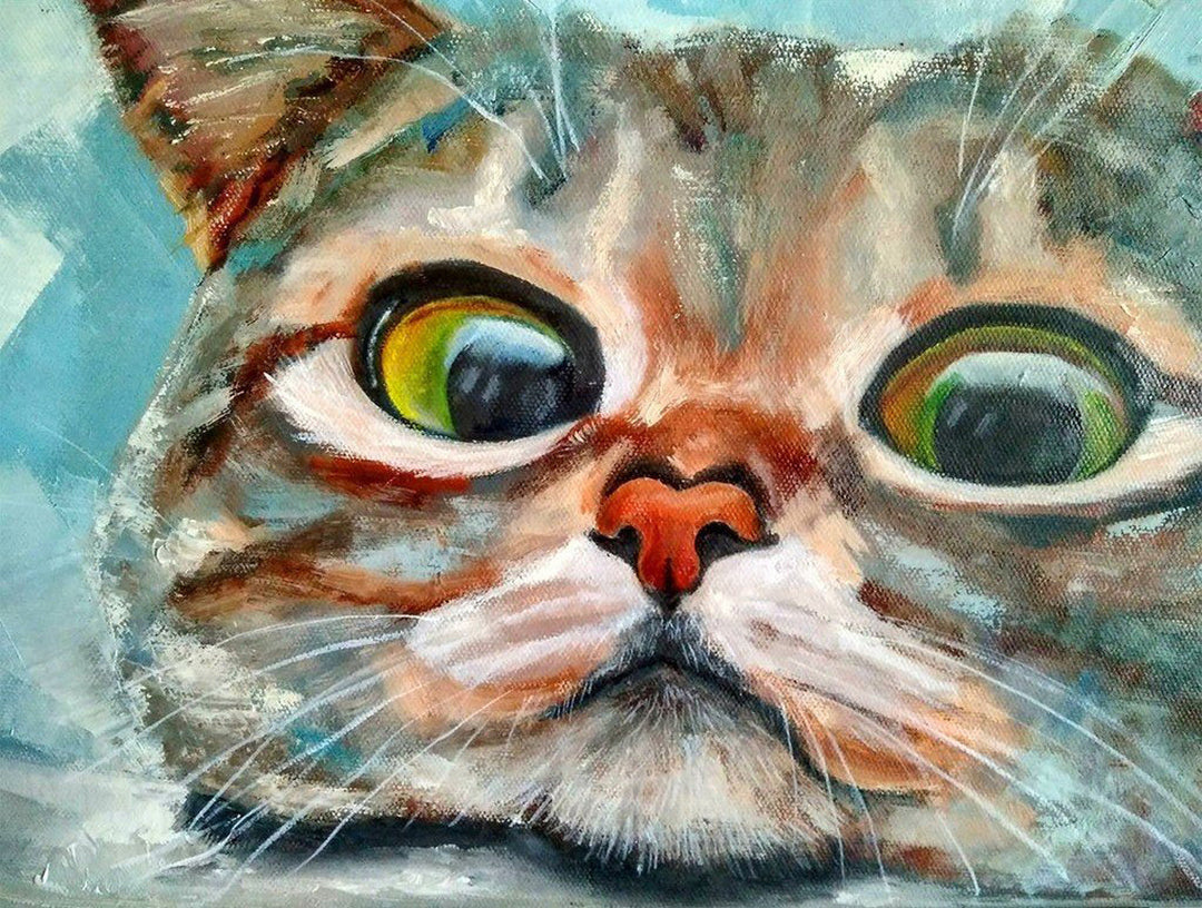 Een Kat met Grote Ogen Diamond Painting