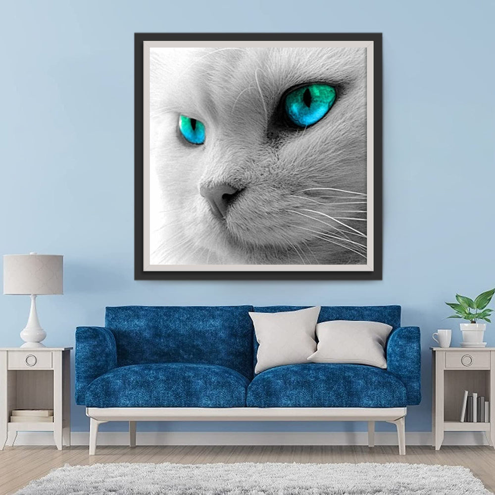 Een Kat met Zeeblauwe Ogen Diamond Painting