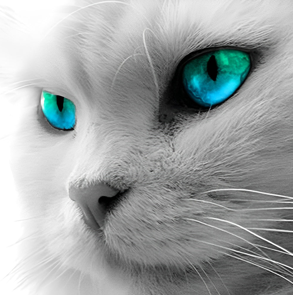 Een Kat met Zeeblauwe Ogen Diamond Painting