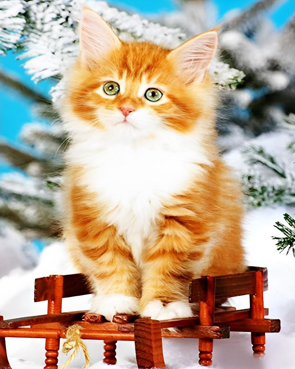 Een Kat op een Rode Stoel in de Sneeuw Diamond Painting
