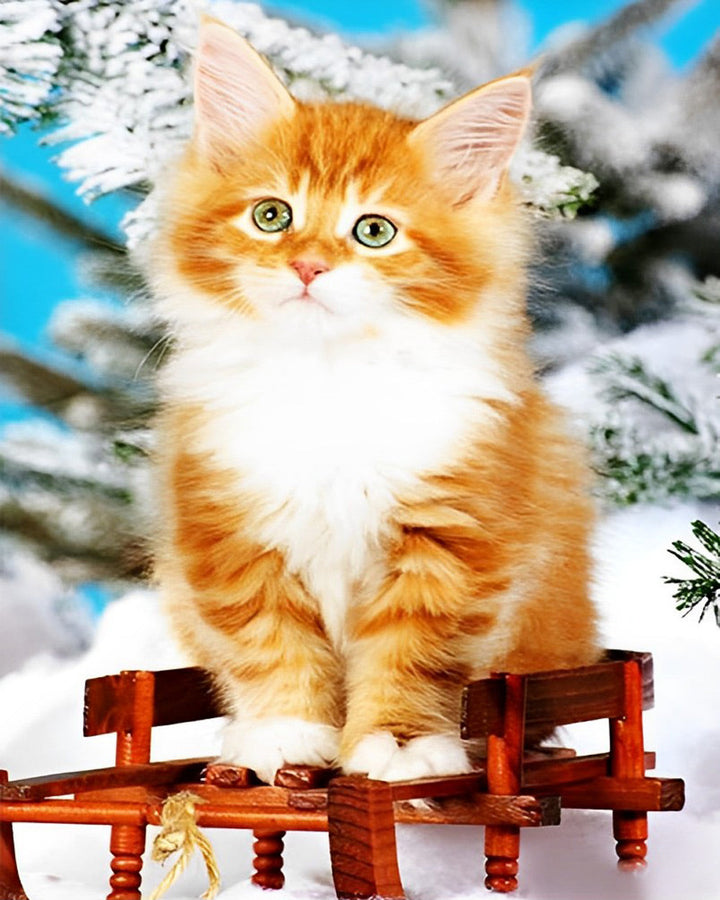 Een Kat op een Rode Stoel in de Sneeuw Diamond Painting