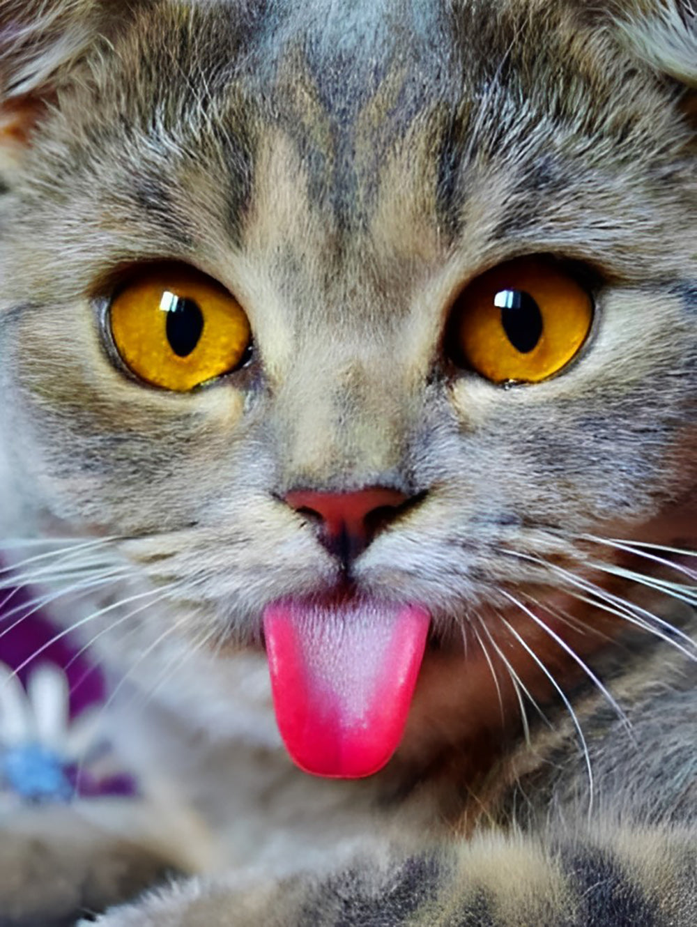 Een Kat Steekt zijn Tong uit Diamond Painting