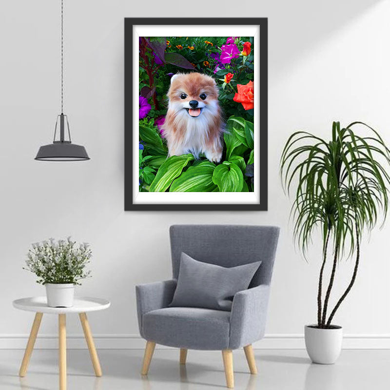 Een Keeshond in een Struik Diamond Painting