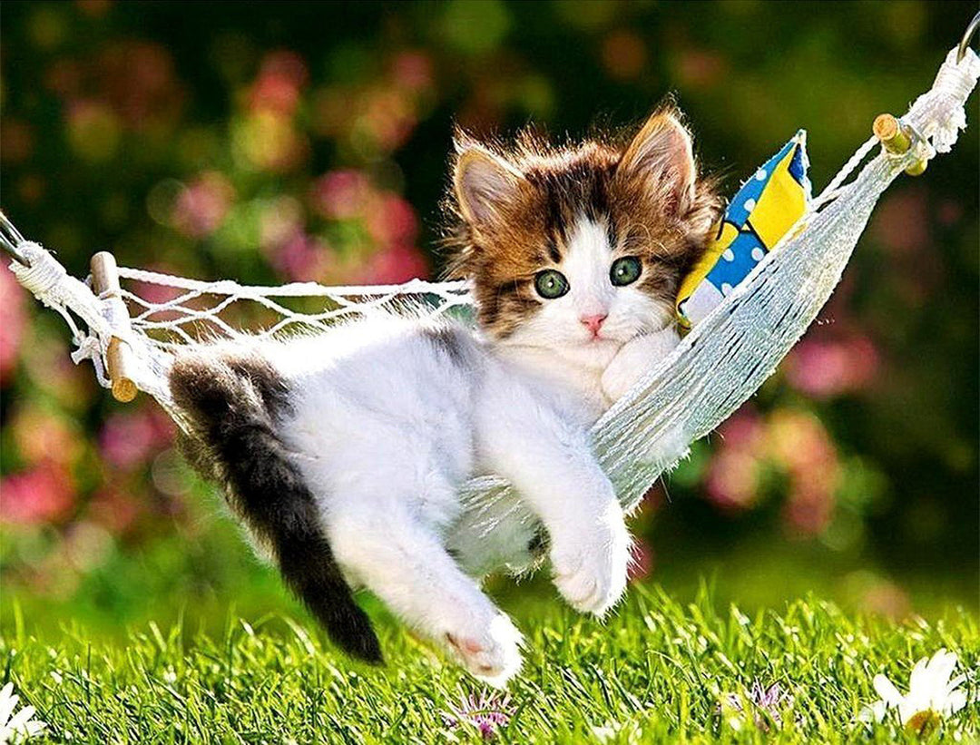 Een Kitten in de Tuinhangmat Diamond Painting