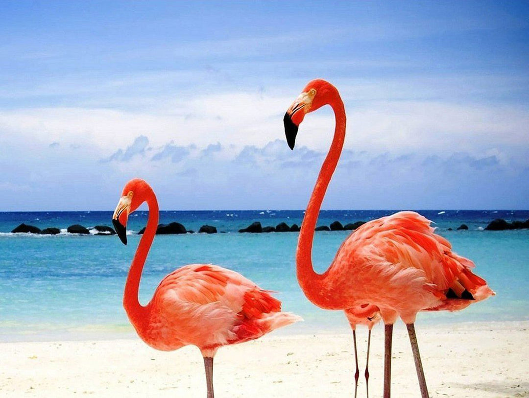Een Kleine en een Grote Flamingo op het Strand Diamond Painting