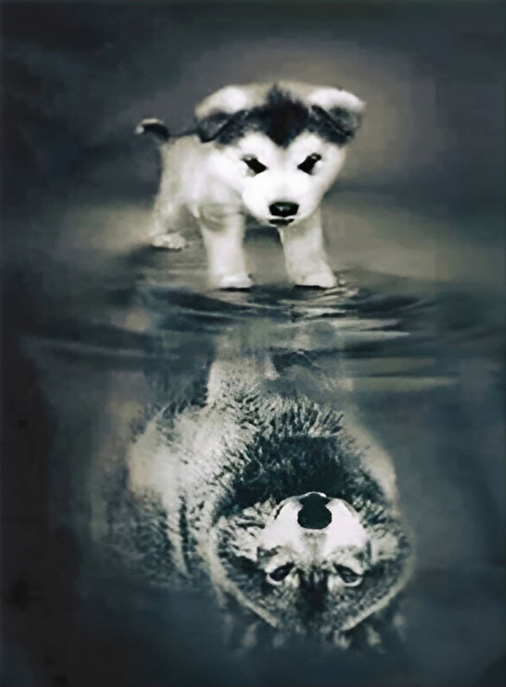 Een Kleine Husky en de Weerspiegeling van een Wolf in het Water Diamond Painting