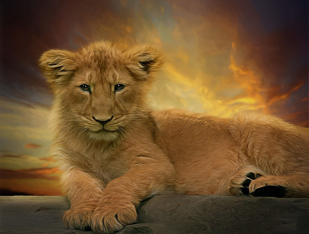Een Kleine Leeuw Diamond Painting
