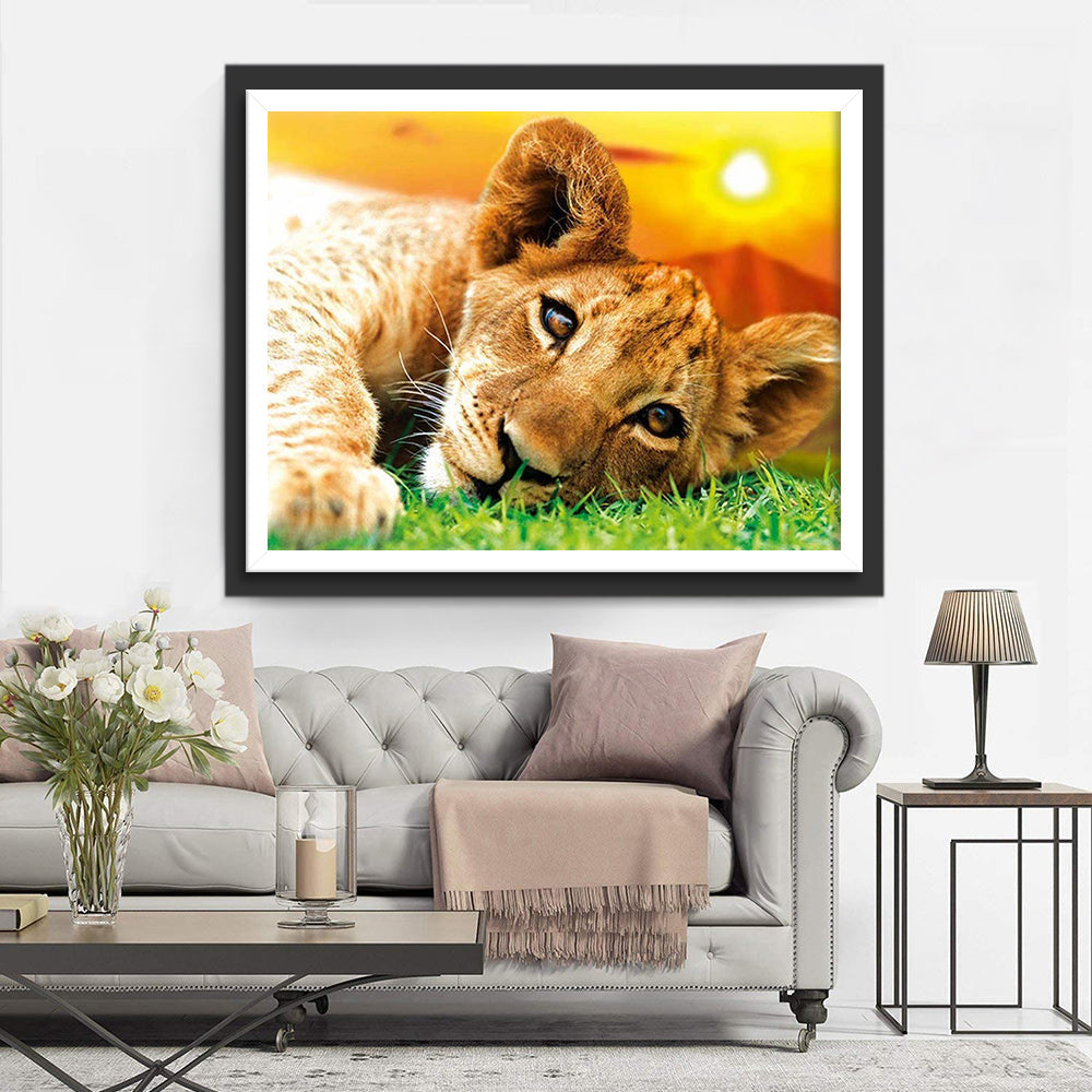 Een Kleine Leeuwenwelp Ligt op de Weide Diamond Painting