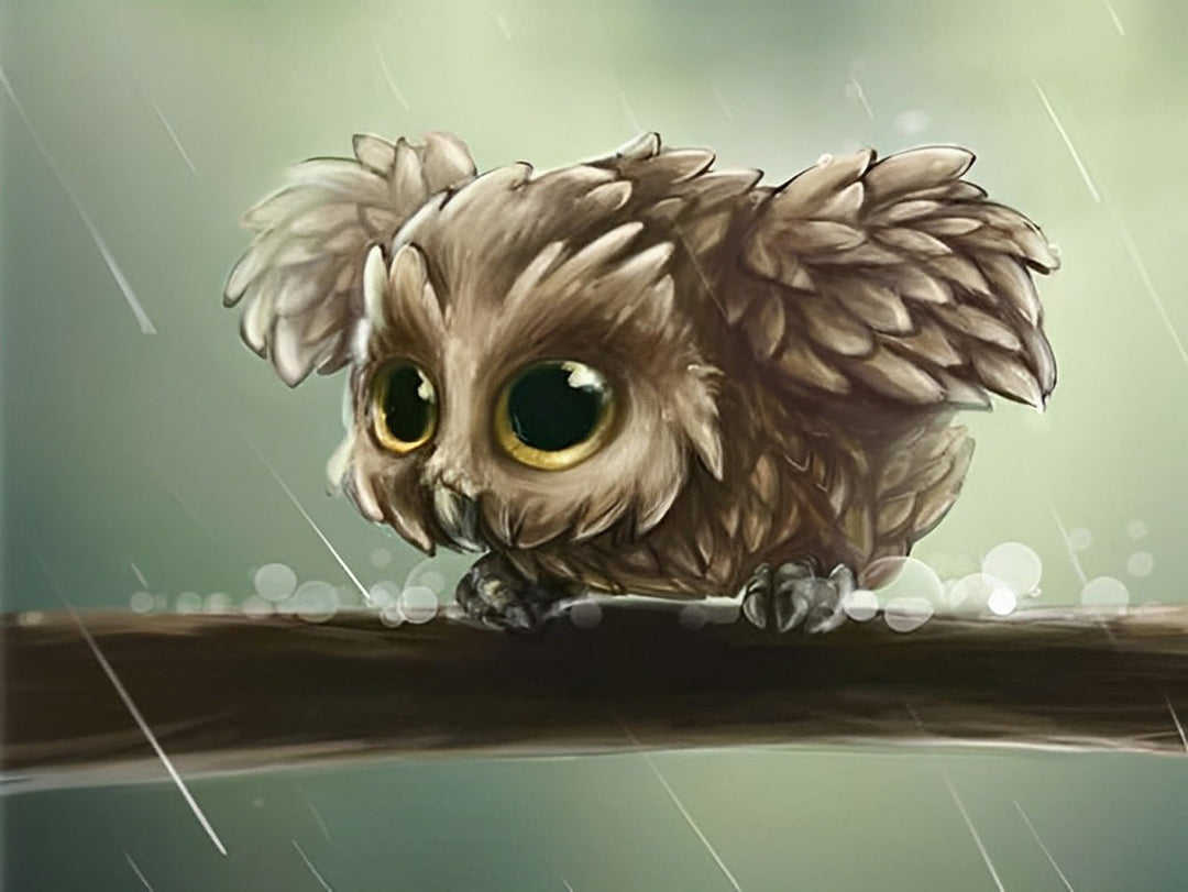 Een Kleine Uil op de Tak op een Regenachtige Dag Diamond Painting