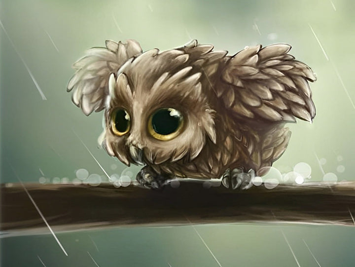 Een Kleine Uil op de Tak op een Regenachtige Dag Diamond Painting