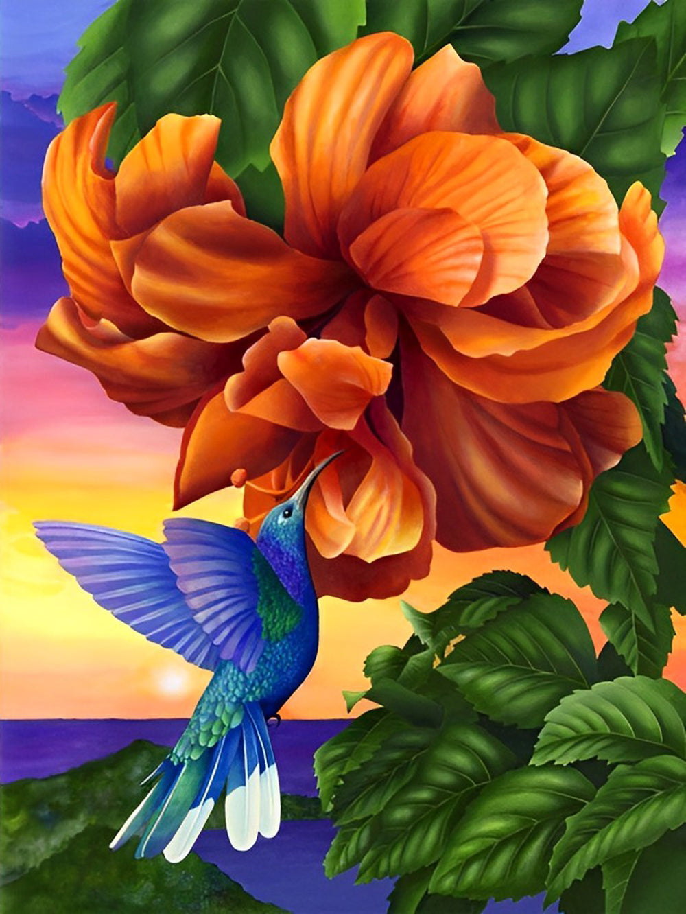 Een Kolibrie op een Grote Oranje Bloem Diamond Painting
