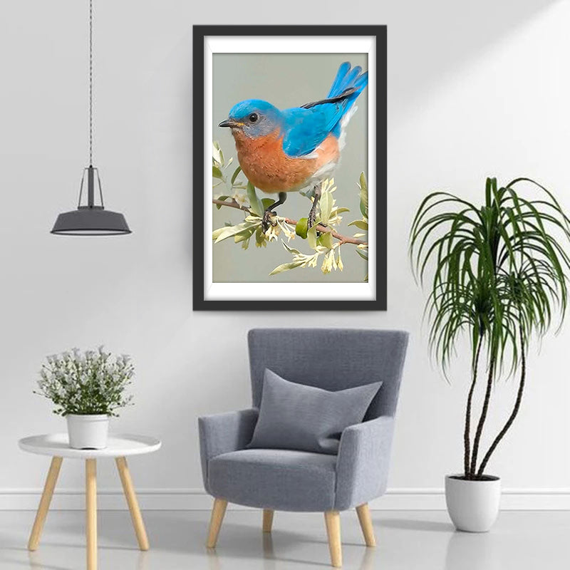 Een Kolibrie op een Witgroene Tak Diamond Painting