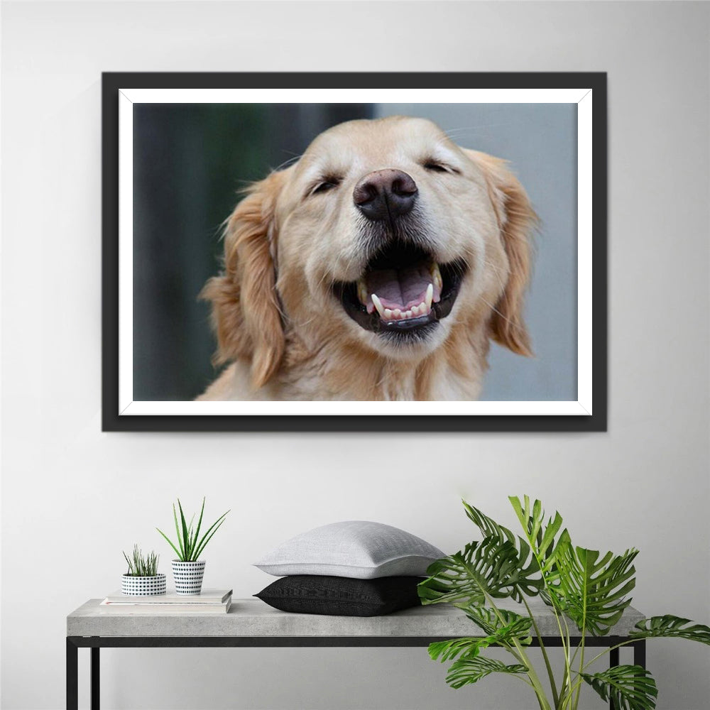 Een Lachende Golden Retriever Diamond Painting