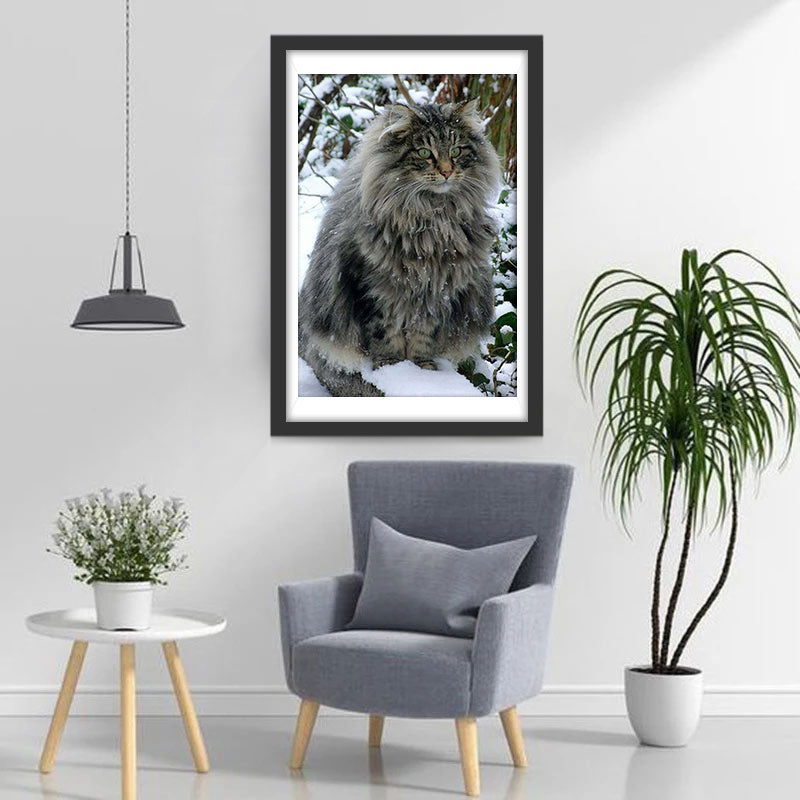 Een Langharige Kat in de Sneeuw Diamond Painting