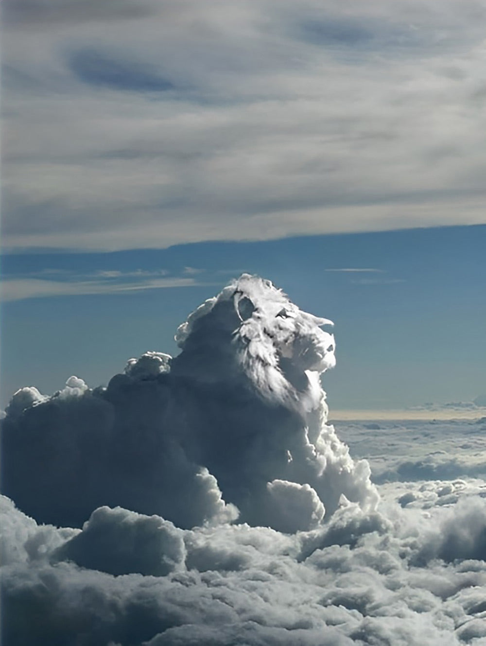 Een Leeuw Gemaakt van Wolken Diamond Painting