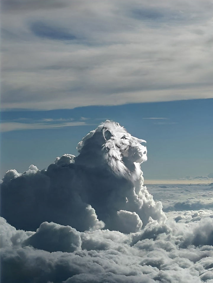 Een Leeuw Gemaakt van Wolken Diamond Painting