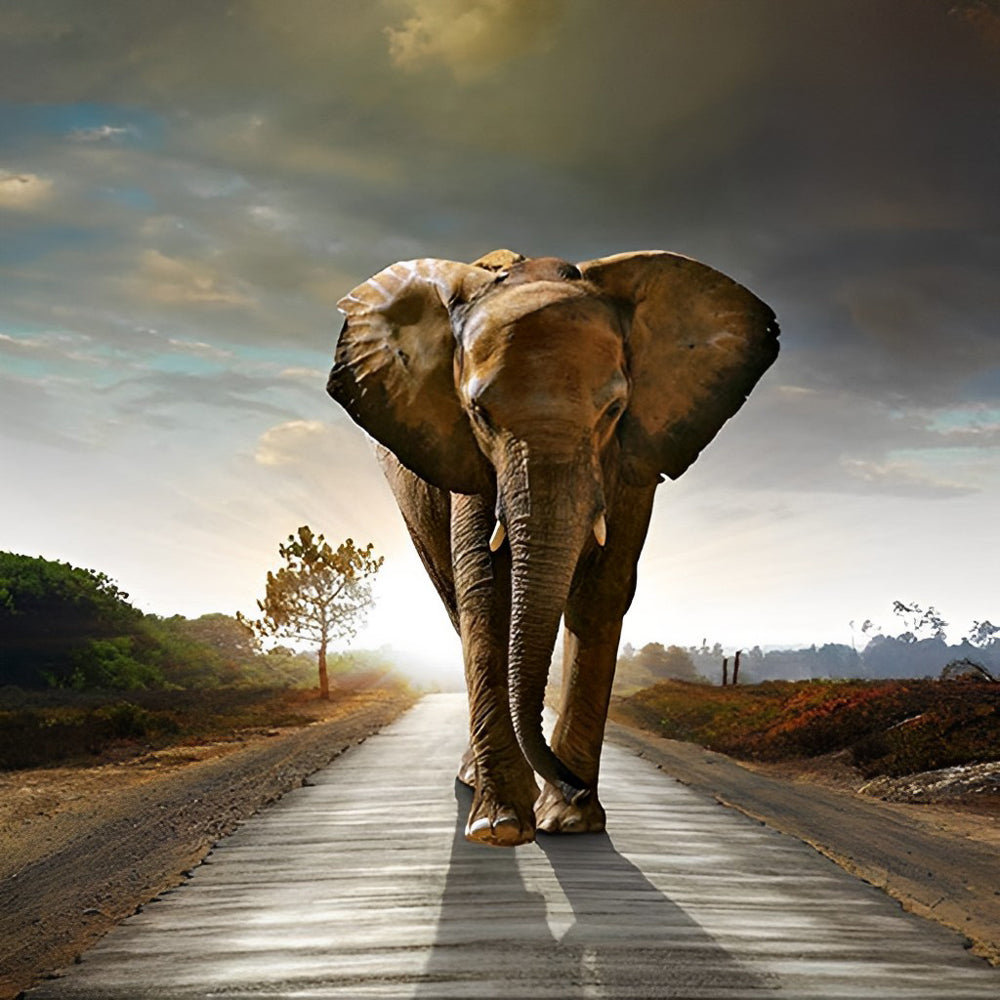 Een Olifant op een Landweg Diamond Painting