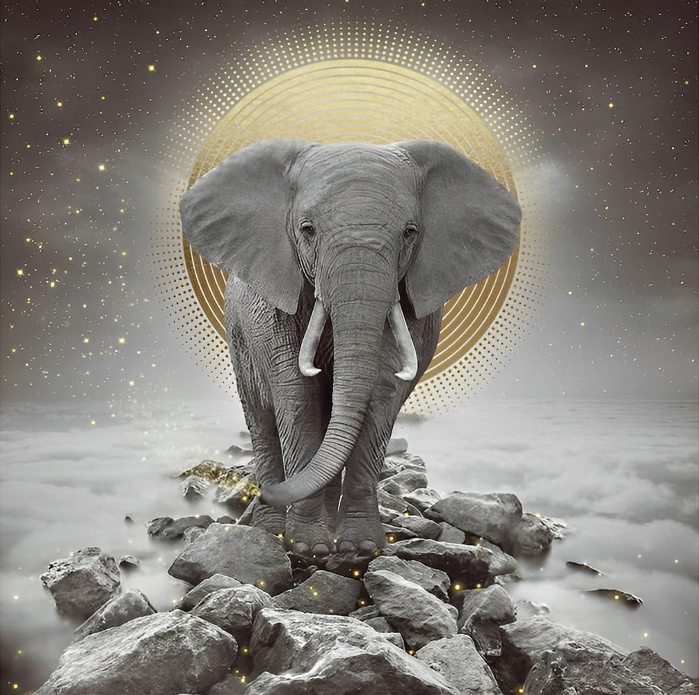 Een Olifant Staat op Stenen voor een Ronde Schijf Diamond Painting