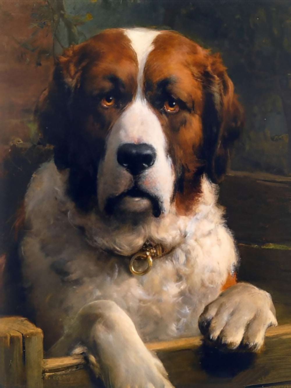 Een Ongelukkige Hond Diamond Painting