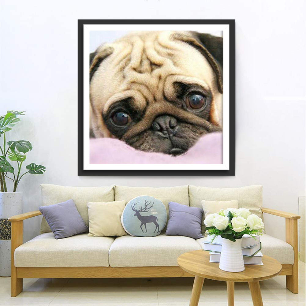 Een Ongelukkige Mopshond Diamond Painting