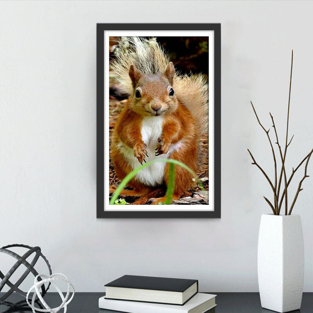 Een Onschuldige Eekhoorn Diamond Painting