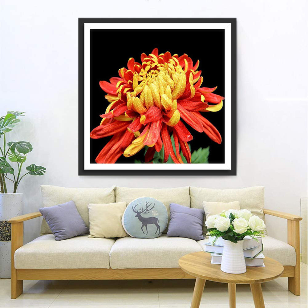 Een Oranje-Gele Chrysant Diamond Painting