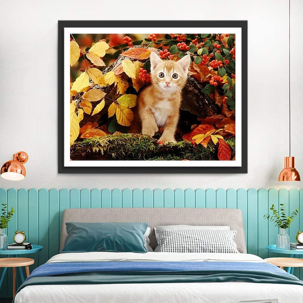 Een Oranje Kat op Rood Fruit Diamond Painting