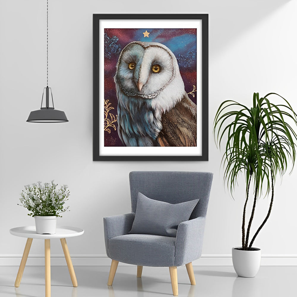 Een Oudere Uil Diamond Painting