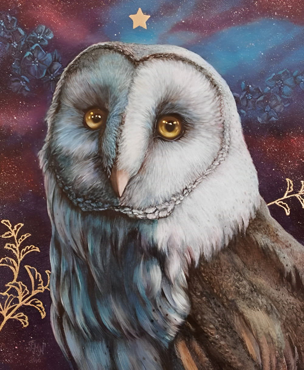 Een Oudere Uil Diamond Painting