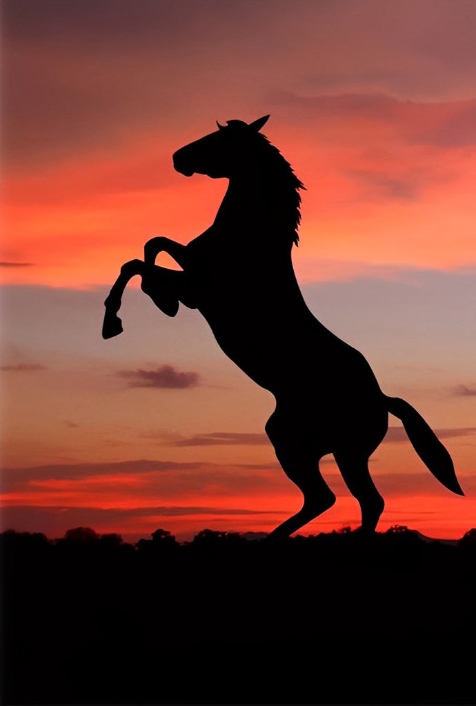 Een Paard Springt op in de Avondzon Diamond Painting