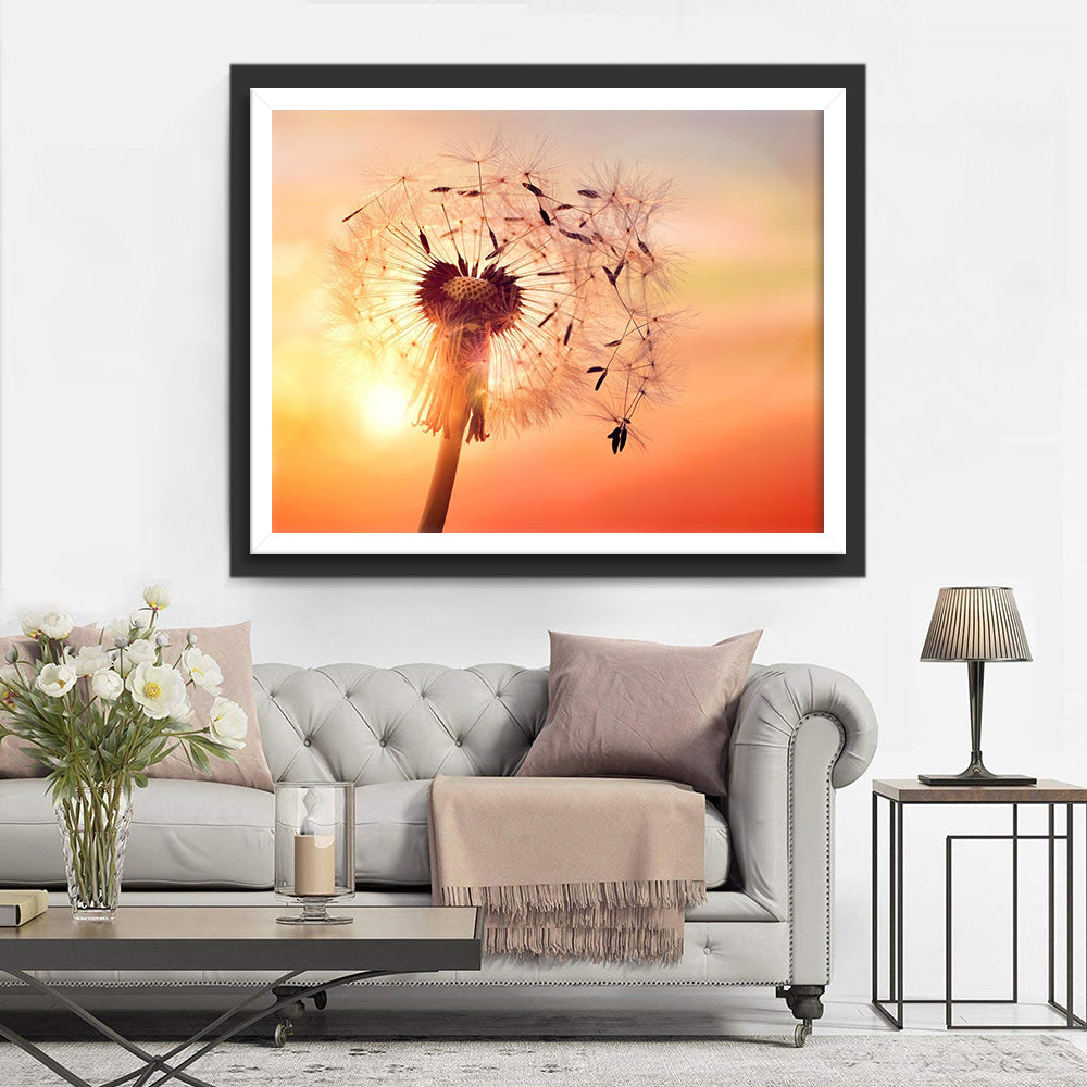 Een Paardenbloem bij Zonsondergang Diamond Painting