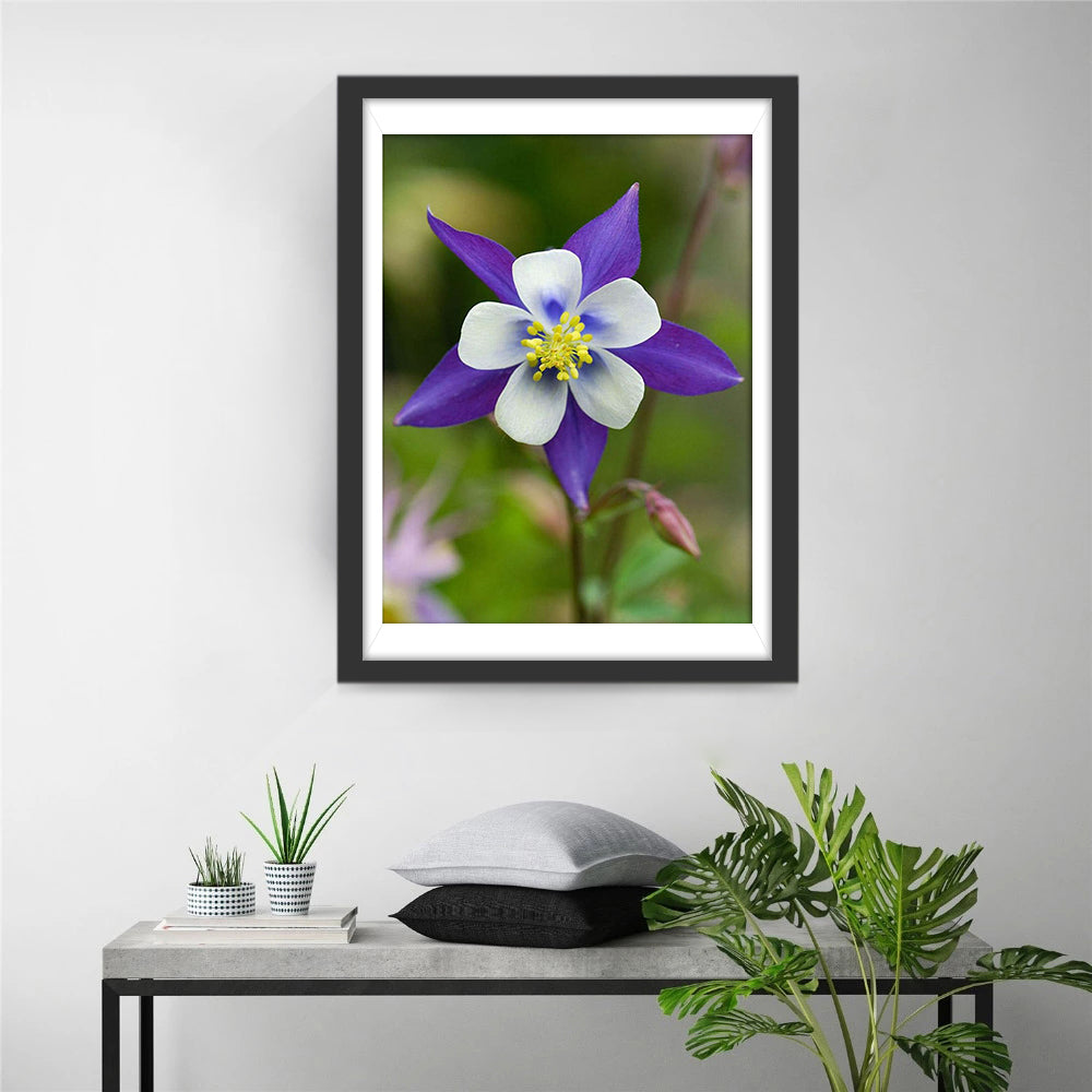 Een Paarse Akelei Diamond Painting