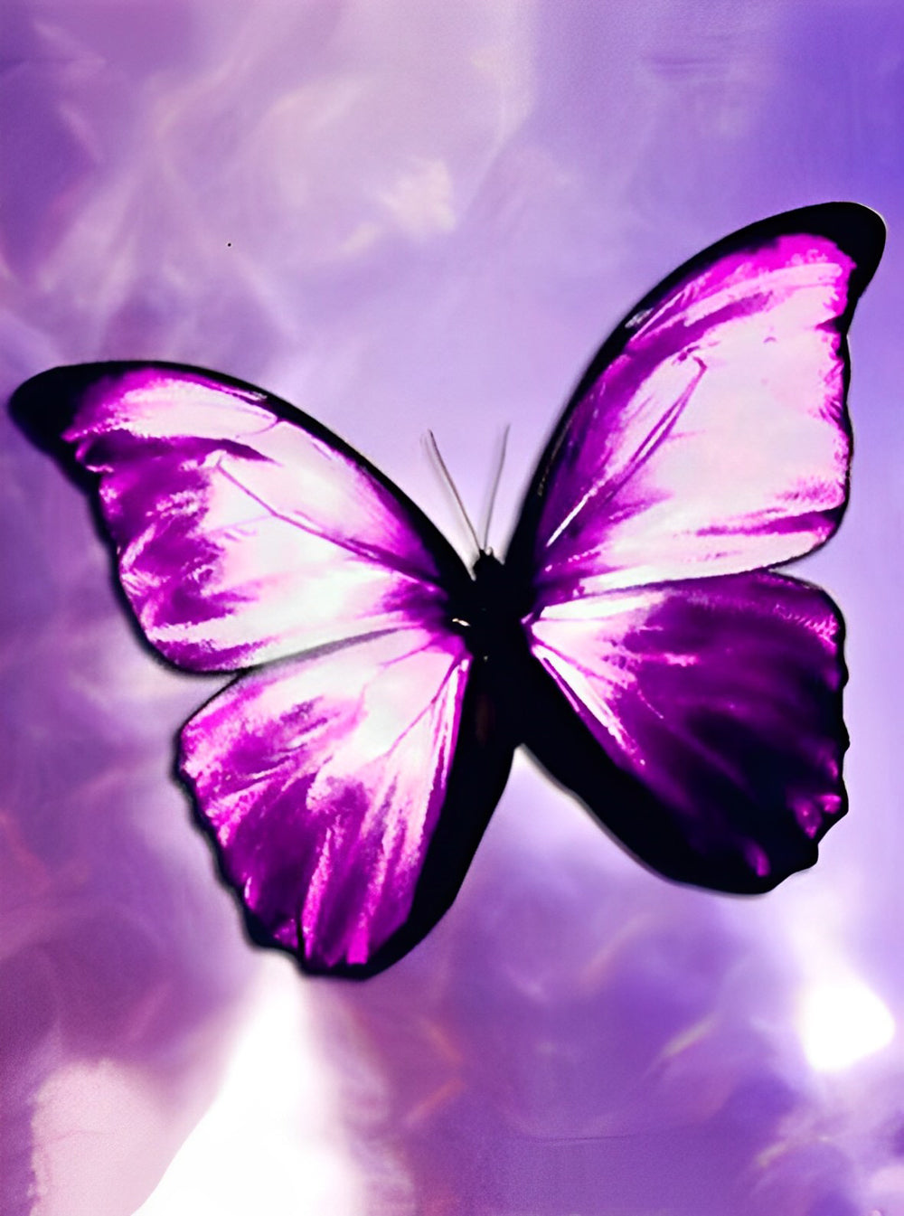 Een Prachtige Paarse Vlinder Diamond Painting