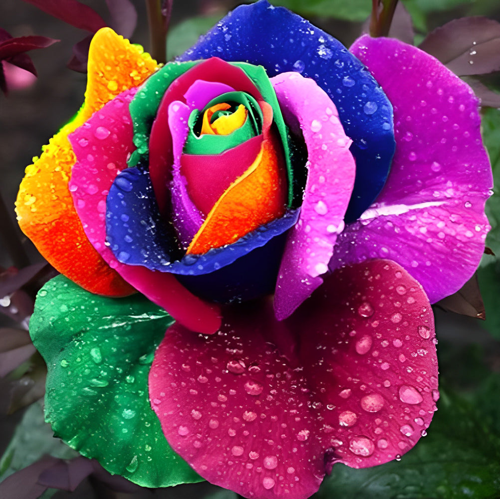 Een Roos met Regenboogblaadjes Diamond Painting