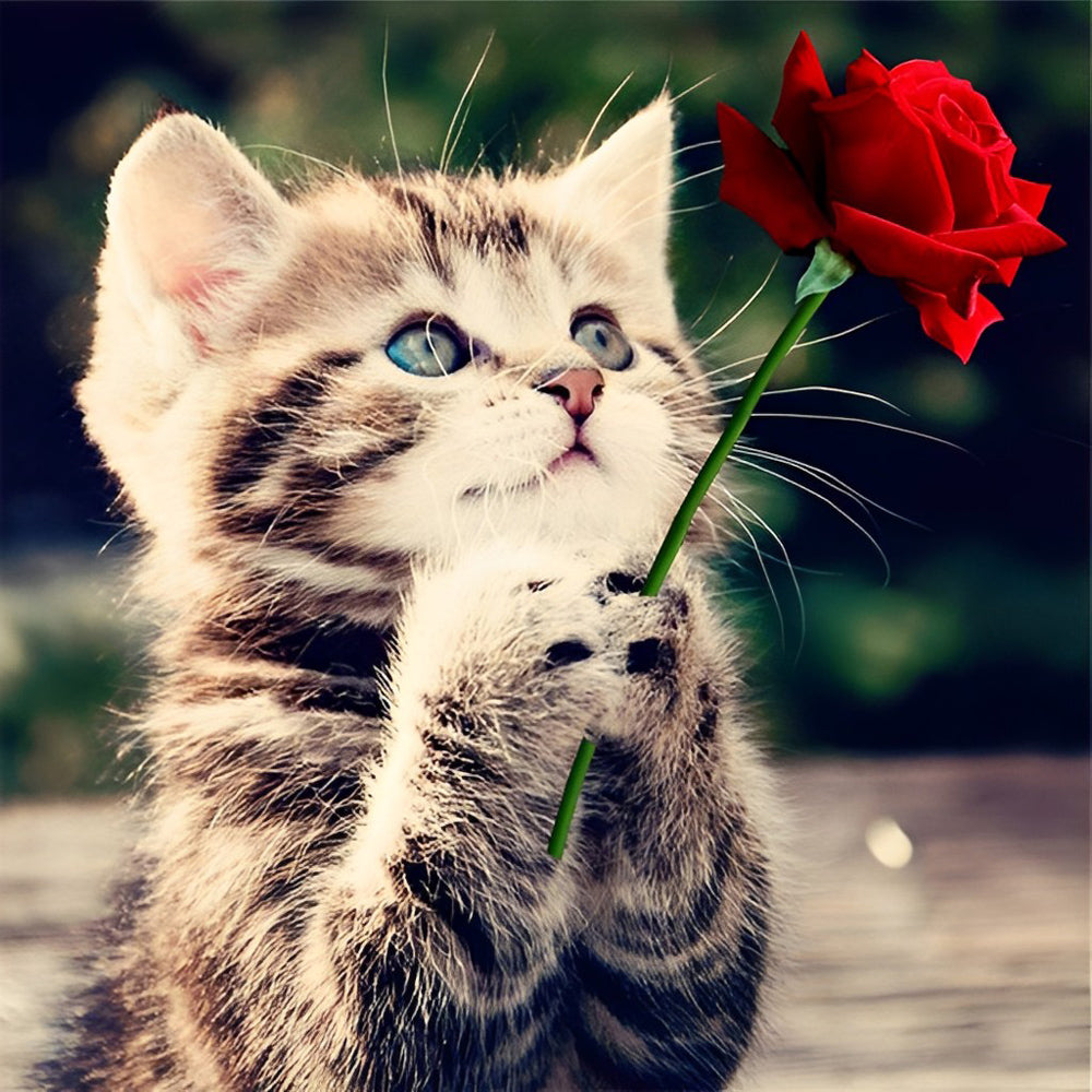 Een Roos van een Klein Kitten Diamond Painting