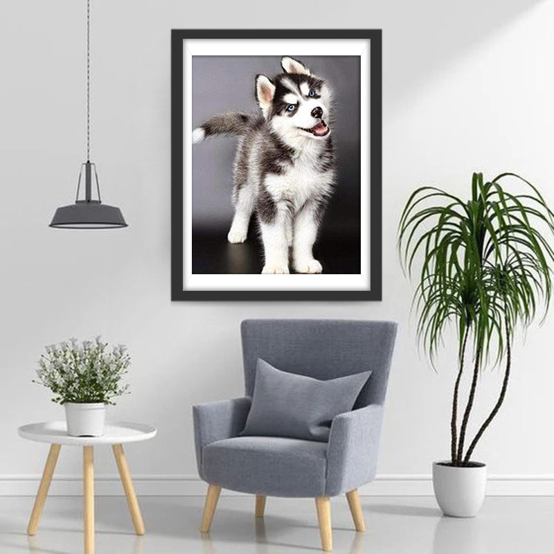 Een Schattige Husky Diamond Painting