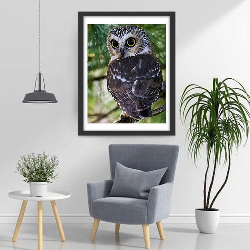 Een Schattige Uil op een Boom Diamond Painting