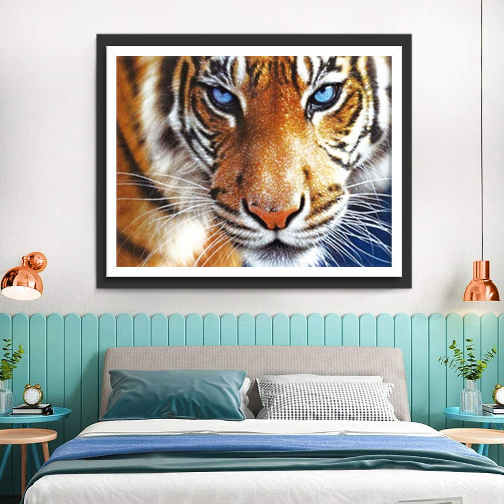 Een Serieuze Tijger met Blauwe Ogen Diamond Painting