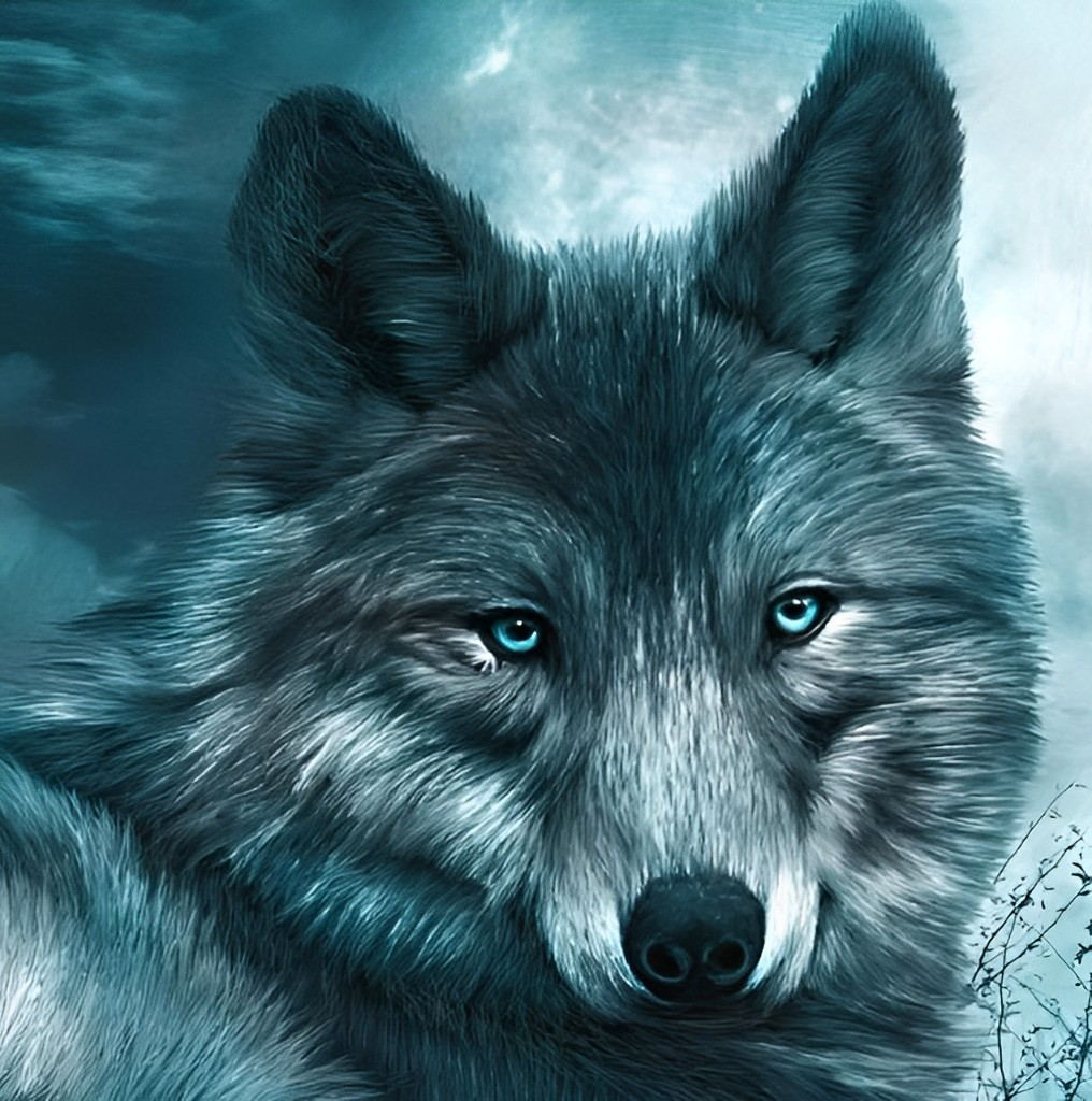 Een Serieuze Zwarte Wolf Diamond Painting
