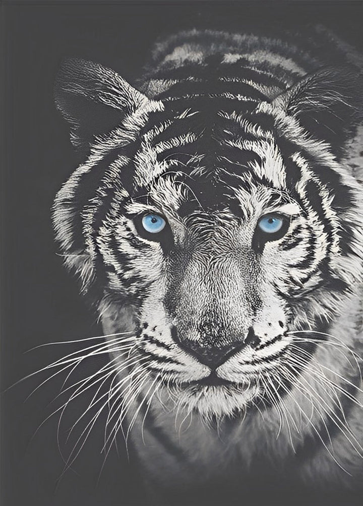 Een Tijger met Blauwe Ogen Diamond Painting