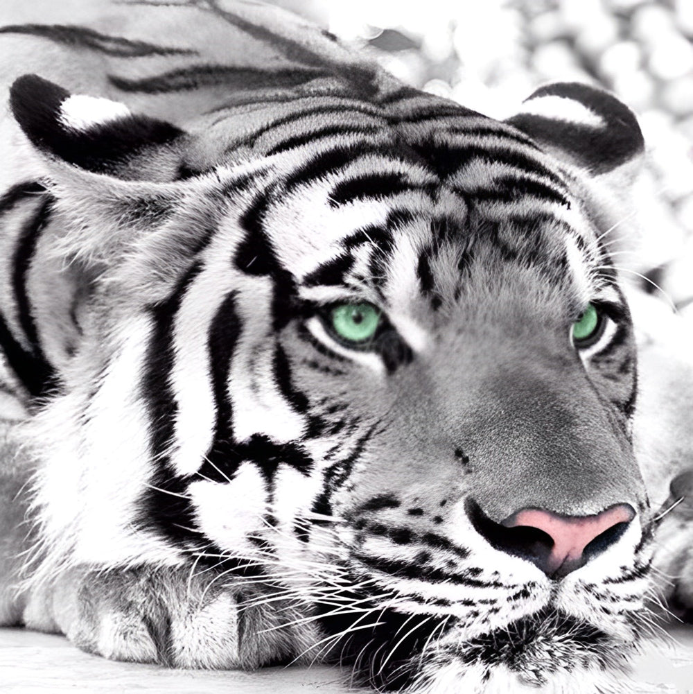 Een Tijger met Groene Ogen Diamond Painting