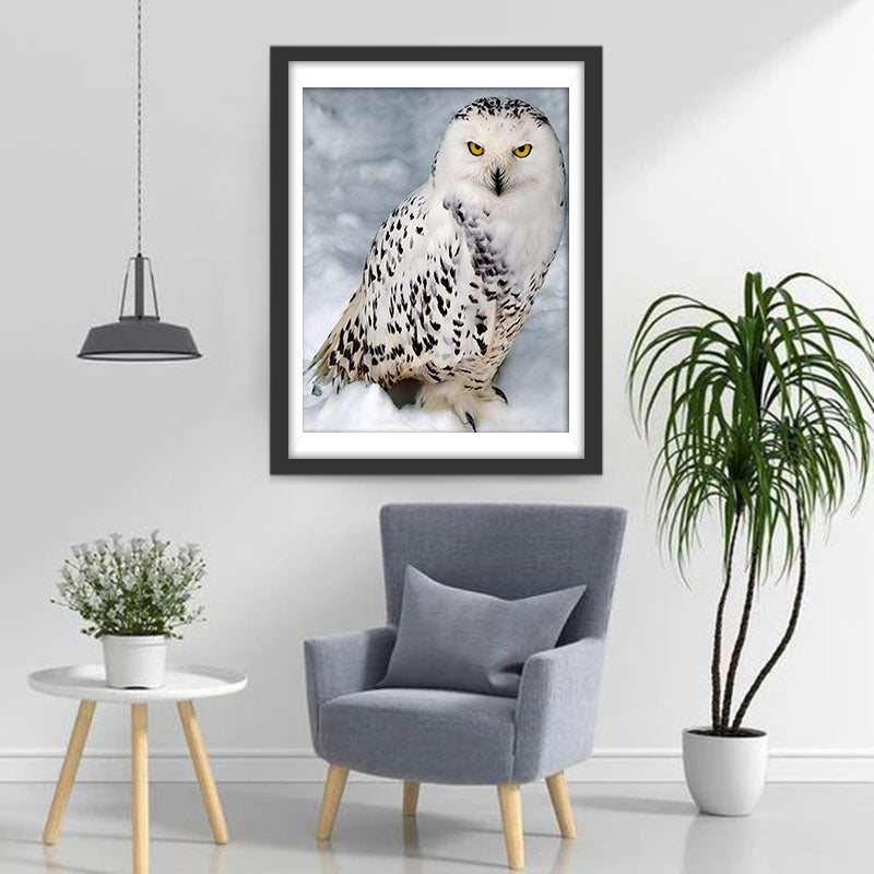 Een Uil in de Sneeuw Diamond Painting