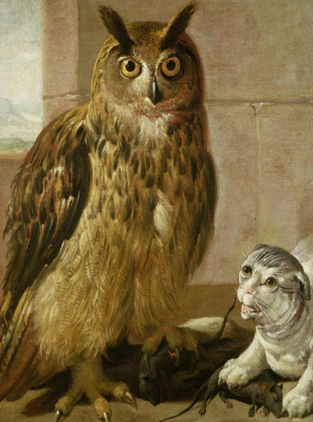 Een Uil met Dikke, Opgetrokken Wenkbrauwen Diamond Painting